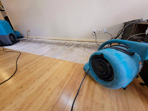 Professional Basement Flood Cleanup technician working in Roanoke, IN
